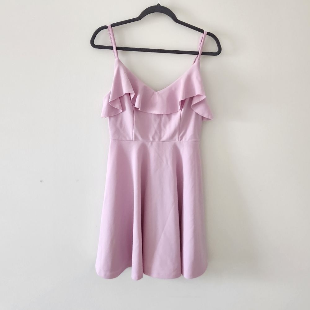Francesca's Trixxi Dress Ruffle Front Skater Dress Pink Small NWT NEW